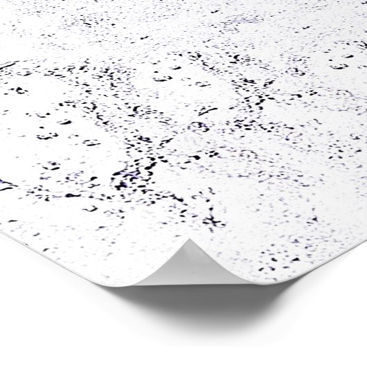 Whitewater Kayaking Poster (Hoek)