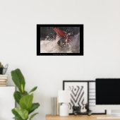 Whitewater Loop Poster (Thuiskantoor)