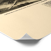 Whitewater, WI Panoramic Map - 1885 Poster (Hoek)