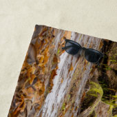 Whitley Bay lighthouse  Strandlaken (In situ)