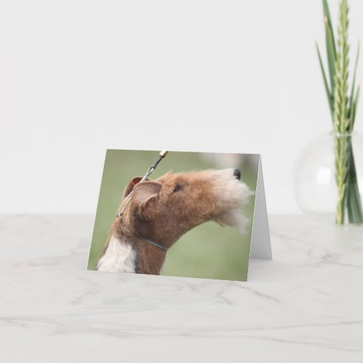 Whitman Notecard Kaart (Voorkant)