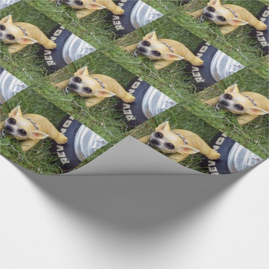 Whiz Kind Cadeaupapier (Hoek)