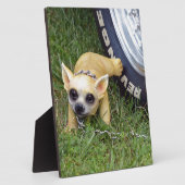 Whiz Kind Fotoplaat (Zijkant)