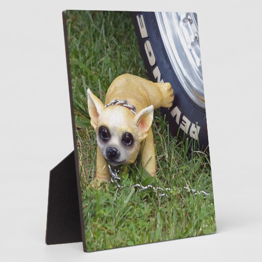 Whiz Kind Fotoplaat (Zijkant)