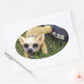 Whiz Kind Ovale Sticker (Envelop)