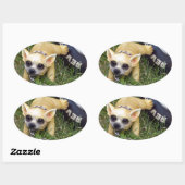 Whiz Kind Ovale Sticker (Vel)