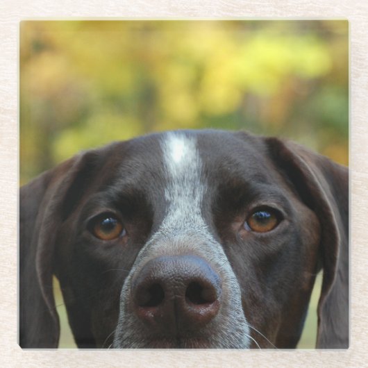 Who Dat Hond Glazen Onderzetter (Voorkant)