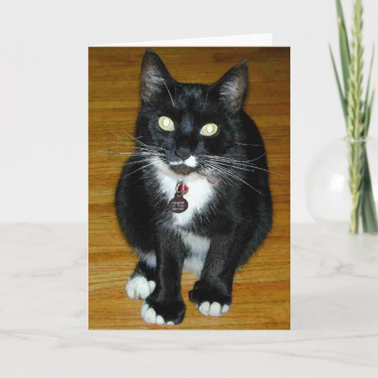 Who me? feestdagen kaart (Voorkant)