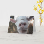 Who van de geit bij het Wenskaart dat van het Man Kaart (Gele Bloem)