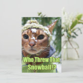 Who wierp dat Sneeuwbal!? Vlakke Kaarten - Doos (Staand voorkant)