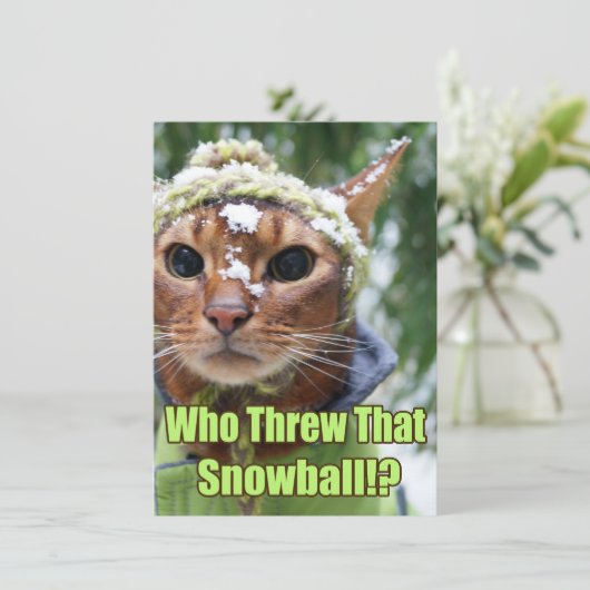 Who wierp dat Sneeuwbal!? Vlakke Kaarten - Doos (Staand voorkant)