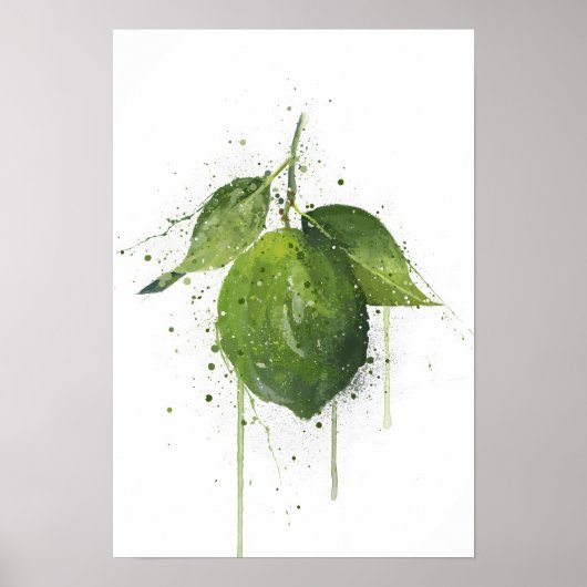 Whole Lime Fruit  Poster (Voorkant)
