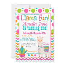 Whole Llama Fun Birthday Party