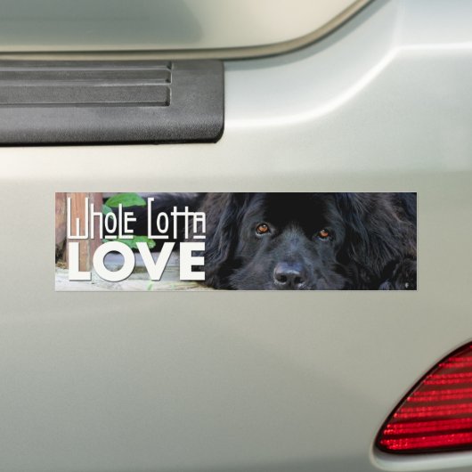 Whole Lotta Love Newfie Bumpersticker (Op auto)