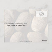 Whole nutmeg briefkaart (Achterkant)