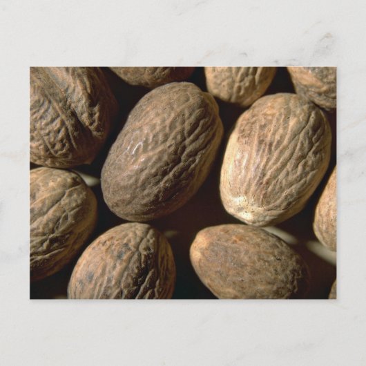 Whole nutmeg briefkaart (Voorkant)