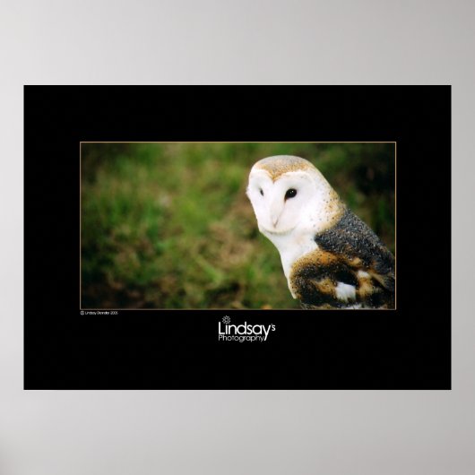 Whooie Poster (Voorkant)