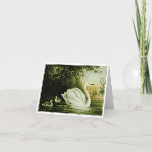 Whooper Swan Customize Card Kaart