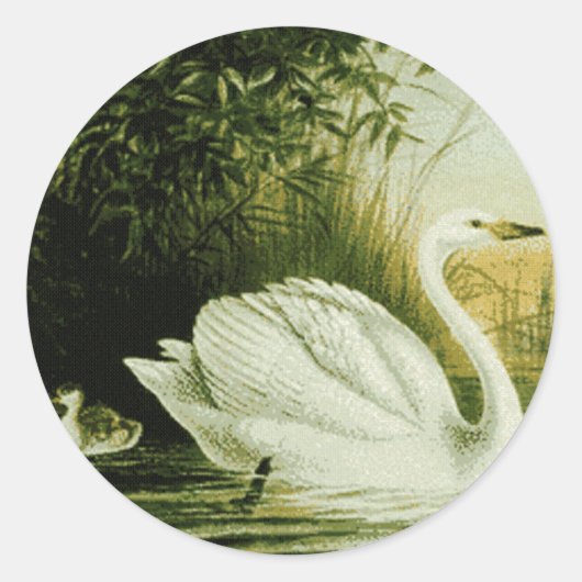 Whooper Swan Sticker (Voorkant)
