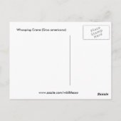 Whooping Crane (Grus americana) Briefkaart (Achterkant)