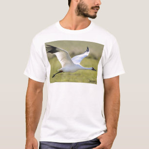 Whooping Crane (Grus americana) T-shirt
