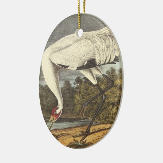 Whooping Crane, John Audubon Keramisch Ornament (Links)