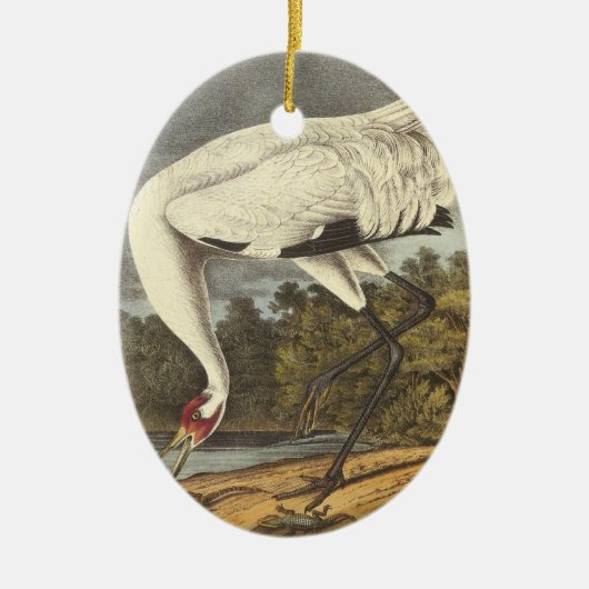 Whooping Crane, John Audubon Keramisch Ornament (Voorkant)