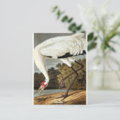 Whooping Crane van John James Audubon Feestdagenkaart (Staand voorkant)