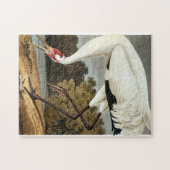 Whooping Crane van John James Audubon Legpuzzel (Horizontaal)