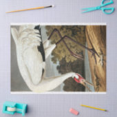 Whooping Crane van John James Audubon Tissuepapier (Craft)