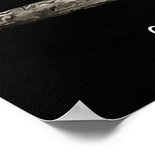 Why Do You Need My Ivory Black and White Elephant Poster (Hoek)