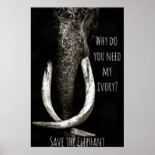 Why Do You Need My Ivory Black and White Elephant Poster (Voorkant)
