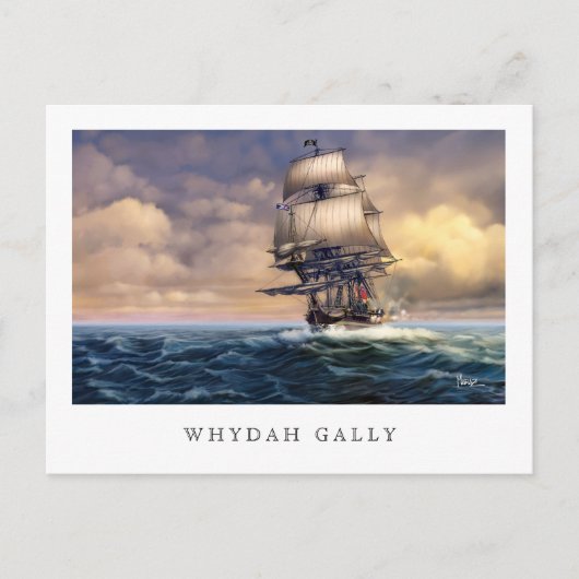 Whydah Gally Historic Ship Painting Briefkaarten (Voorkant)