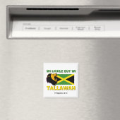 WI LIKKLE MAAR WI TALLAWAH MAGNEET (Insitu (Vaatwasser))