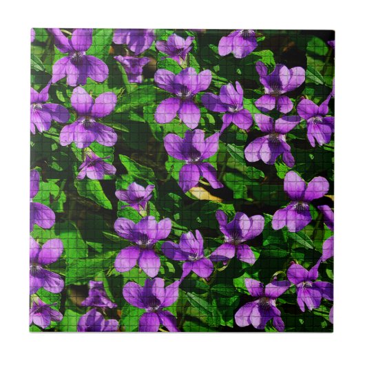 WI State Bloem Hout Violet Mozaïek Tegel Tegeltje (Voorkant)