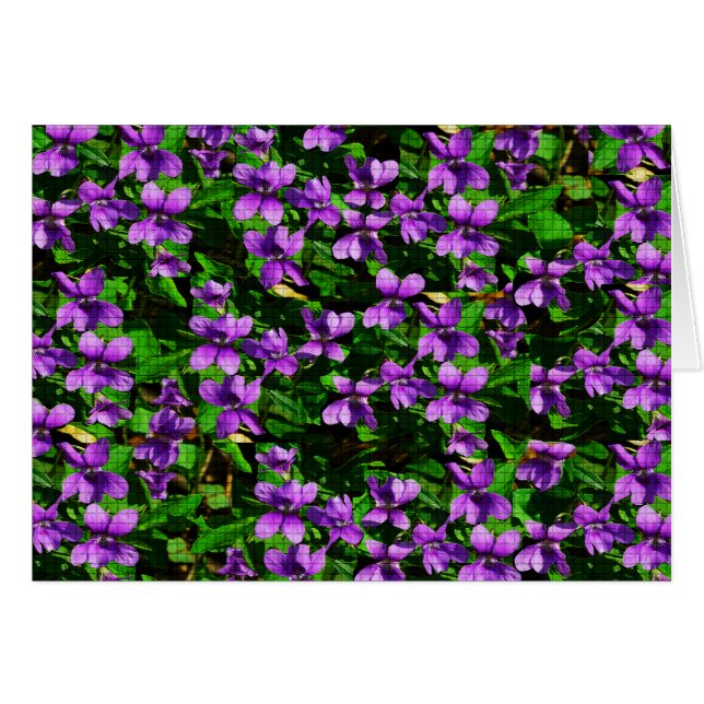 WI State Flower Wood Violet Mosaic Patroon (Voorkant Horizontaal)