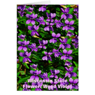 WI State Flower Wood Violet Mosaic Patroon