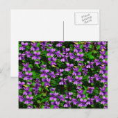 WI State Flower Wood Violet Mosaic Patroon Briefkaart (Voorkant / Achterkant)