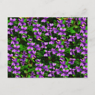 WI State Flower Wood Violet Mosaic Patroon Briefkaart