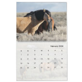 Wicahpi Hinhpaya - Een gevallen ster: Kalender 202 (Feb 2026)