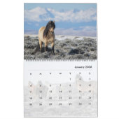 Wicahpi Hinhpaya - Een gevallen ster: Kalender 202 (Jan 2026)