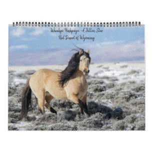 Wicahpi Hinhpaya - Een gevallen ster: Kalender 202