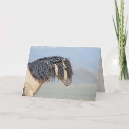 Wicahpi Hinhpaya (Gevallen Sterren) Blanco Kaart (Voorkant)