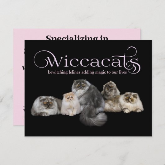WiccaCats GROOT visitekaartje Briefkaart (Voorkant / Achterkant)