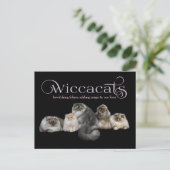 WiccaCats GROOT visitekaartje Briefkaart