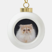 WiccaCats Meira ball ornament (Voorkant)