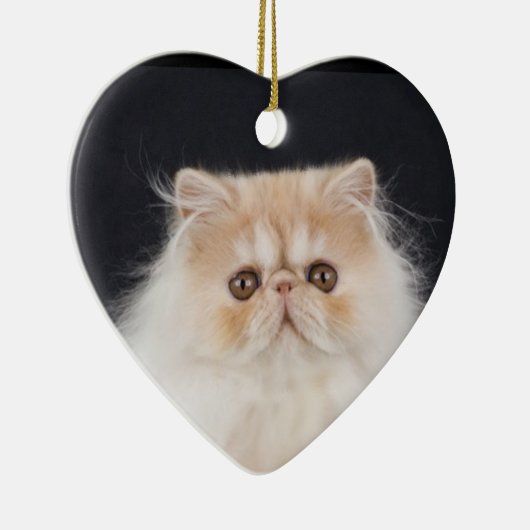 WiccaCats Meira hart ornament (Rechts)