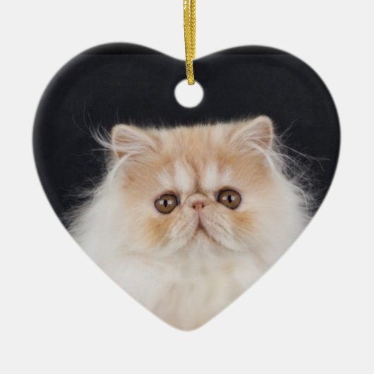 WiccaCats Meira hart ornament (Voorkant)