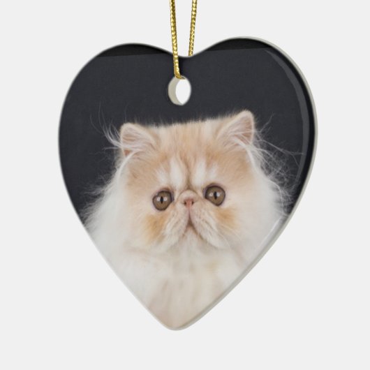 WiccaCats Meira hart ornament (Links)