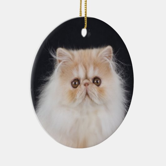 WiccaCats Meira rond ornament (Rechts)